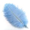10Pcs Ostrich Feathers Decorative Vase Pluma Wedding Table Centerpieces Carnival Accessories DIY Creative Leisure Craft Supplies