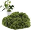 1PACK /200g Simulated Moss Artificial Micro Landscape Ornament Moss Bonsai Potted Plant Decorative Landscaping False Filamentous Wool Moss