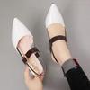 2024 Chunky Heel Hollow Sandals for Women, Slimming Pointed Toe Single Strap Buckle