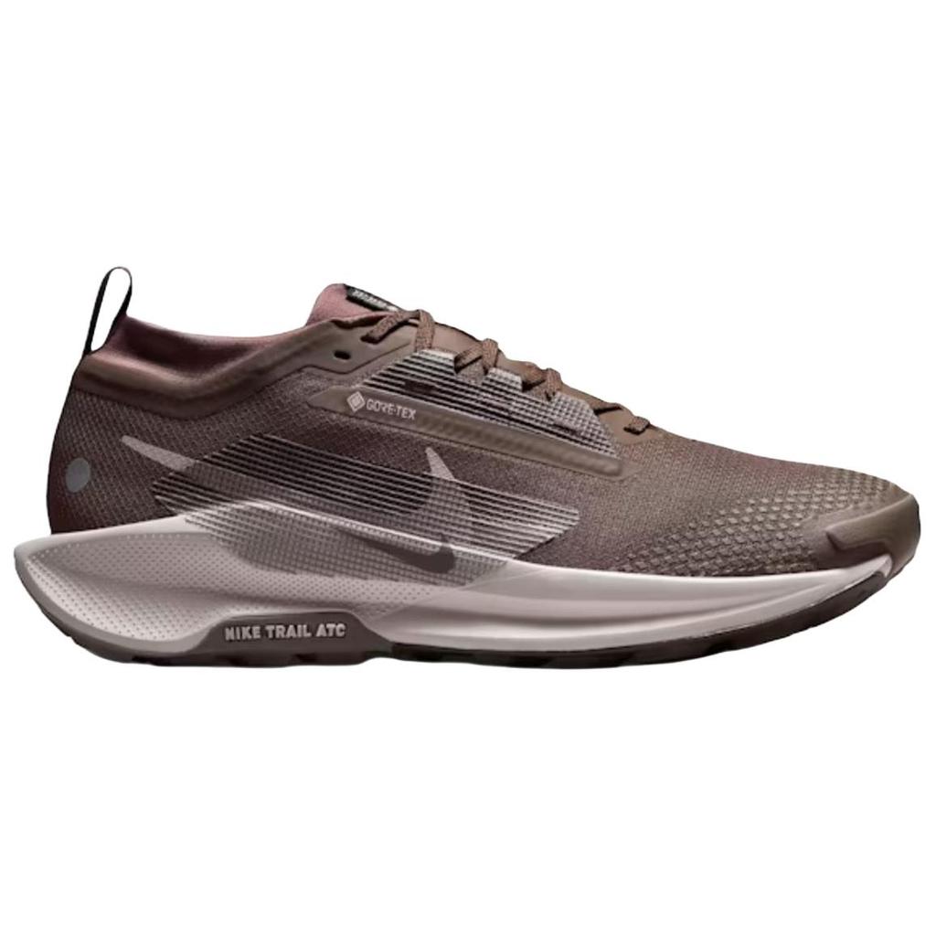 Nike Pegasus Trail 5 GORE-TEX Ironstone Velvet Brown Men Sneakers Cave-Stone College-Grey FQ0908-012