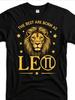Designed for Teenagers Zodiac Lion Confidence State Hoodie Celestial Constellation Symbol Design Astrology Theme Pullove