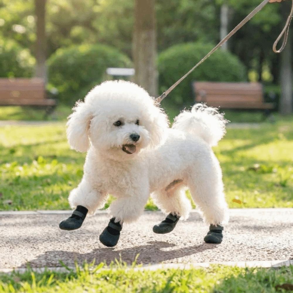 4PCS Breathable Dog Mesh Shoes Adjustable Anti-slip Pet Socks Pet Boots  Outdoor Walking