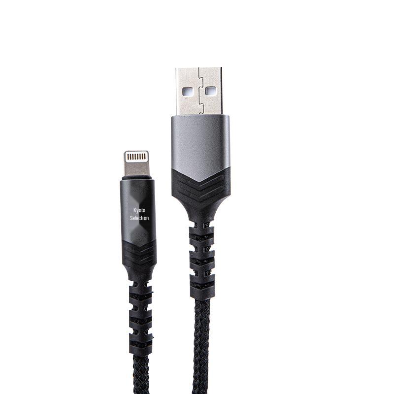 Jingxuan USB to Lightning Fast Charging Cable (2-Pack)