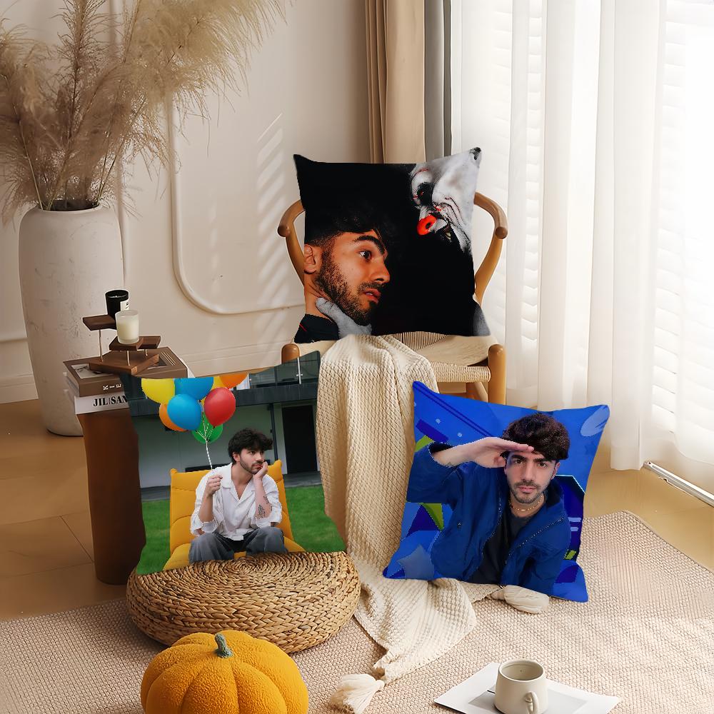 Internet Celebrity Fede V-Vigevani Pillow Case Suitable For Bedrooms Living Rooms Cars Home Decoration