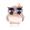 Crown Owl Crystal Clothing Brooches for Women Lapel Safety Sweater Coat Dress Pins Badge Buckle Accessories