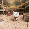 Breathable Hamster Jacket Retro Buckle Pet Apparel Cozy Hamster Vest  Four Seasons