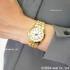 [Seiko Uhr] ALBA Standard Quarz AQGK469 Herren Gold