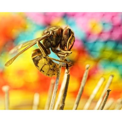 3D DIY Diamond Embroidery Cross Stitch Painting "Bee Love Flower" Diamond Painting Home Decoration