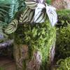 Forest Style Artificial Tree Stump with Moss Bark - Kindergarten and Country Style Decorative Ornament, Perfect for Landscaping or Inserting Flowers.