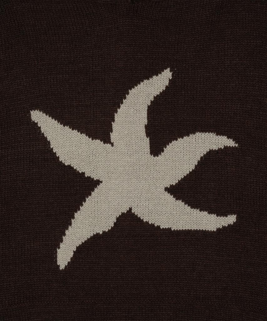 THE COLDEST MOMENT Tcm Starfish Logo Knit Hoodie (Brown)