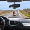 Fat Cat / Dog Car Rear View Mirror Decoration Deb Dog Cat Mascot Keychain