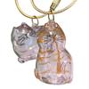 Cat Hair Storage Bottle for Collecting Cat And Dog Hair Transparent Pet Fur Keepsake Keychain with Tweezer Pet Memorial Gift