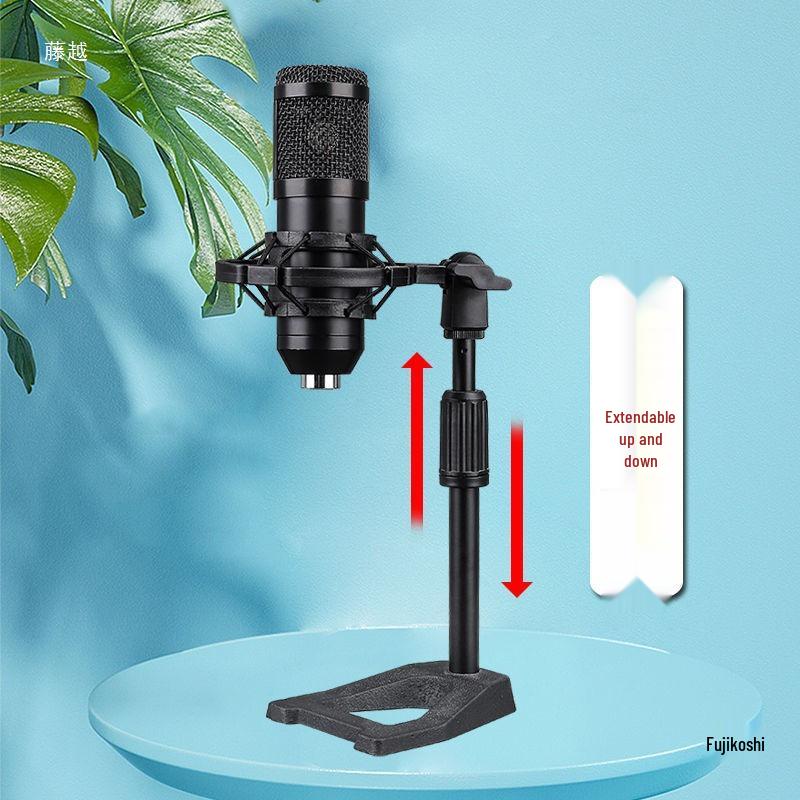 Lai Xiao Desktop Microphone Stand with Condenser Mic Shock Mount, Phone Holder, and Weighted Base