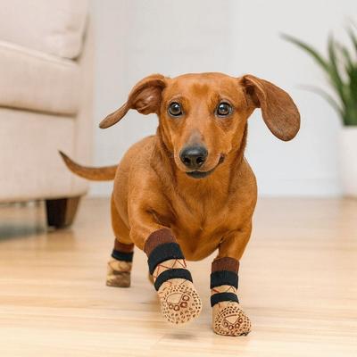 Oblečky a obuv – Obuv pro psy