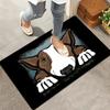 Bull Terrier 'Where's The Biscuits?' Soft Flannel Rug for Entryway Living Room Hallway Bedroom Kitchen Laundry Decorative Carpet