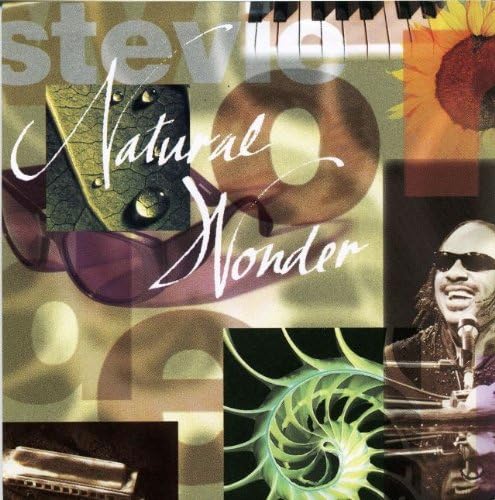 

CD STEVIE WONDER - Natural Wonder POCT10801PROMO Motown 1995 Japan Soul/Funk Used