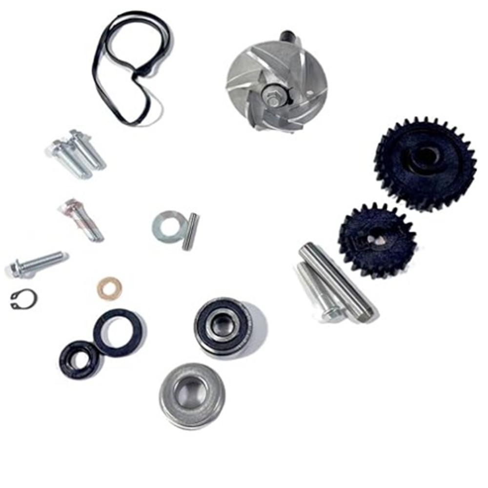Pumpenbaugruppe 0800-08000A ist geeignet für cfmoto cforce zforce 800