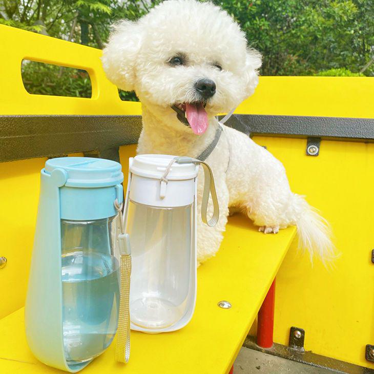 Portable Folding Pet Water Bottle - Outdoor Travel Cup for Dogs and Cats