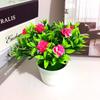 Rose Mini Plastic Artificial Flower Green Plant Potted Plant For Decor Indoor
