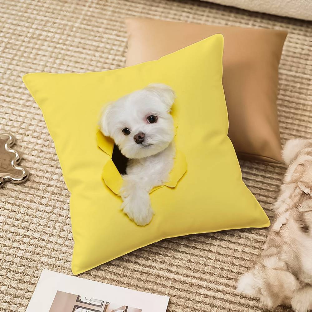 

Cute Naughty Cute Cats Dogs Pillow Case Anti-dustmite Invisible zipper Sofa Bed 12x12Inch