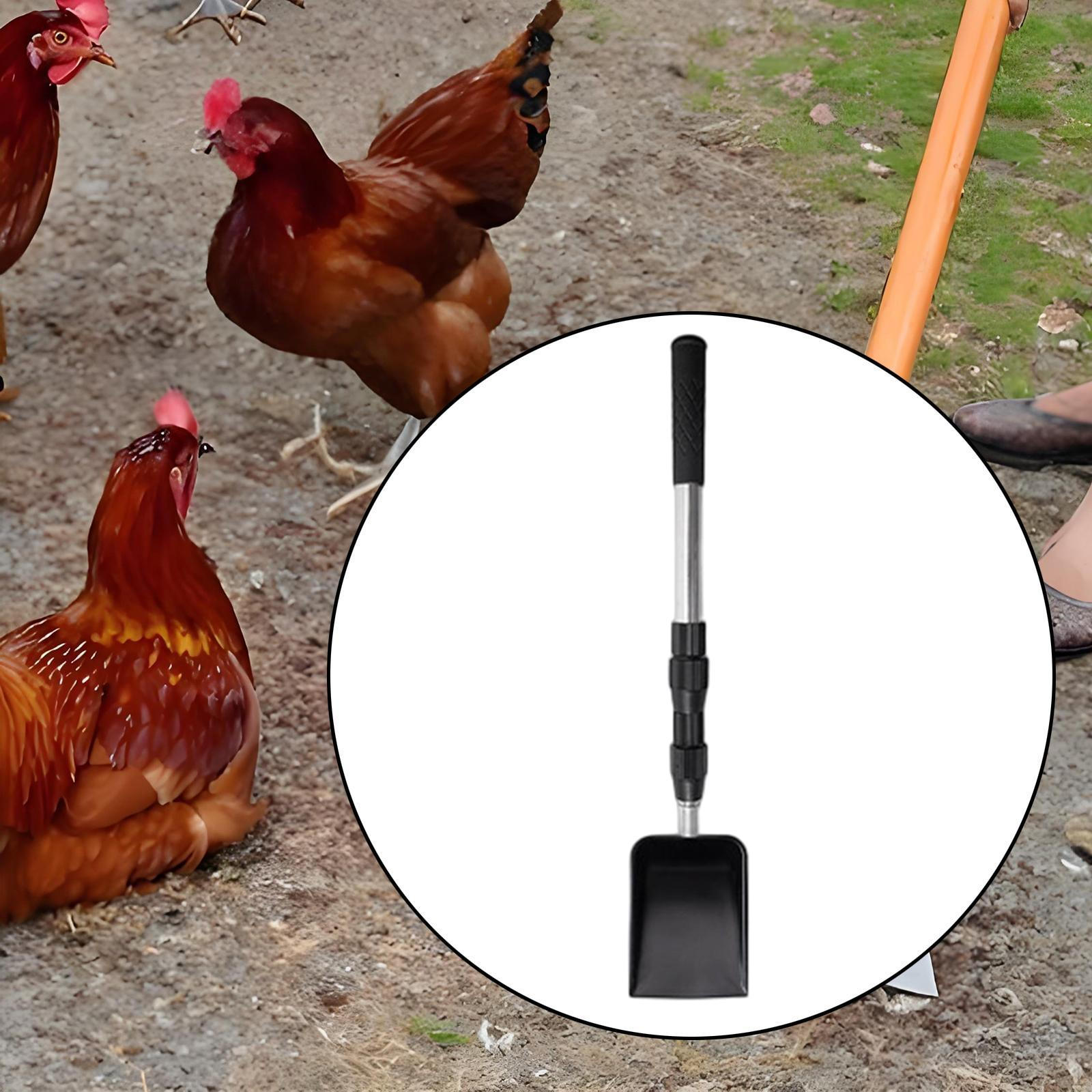 

Adjustable Long Handle Metal Chicken Waste Scoop for Farm Cleaning shovel