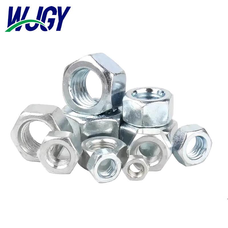 Stainless Steel Hex Nut