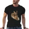Young Hare by Albrecht Durer TShirt Simple Solid Color Crew Neck Tee