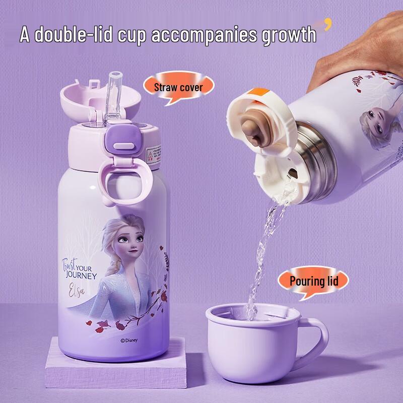 Детская термобутылка для воды Disney Frozen 316 SS с трубочкой