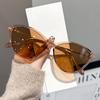Women's Fashion Cat-Eye Sunglasses Comfortable and Stylish Casual Design Sunglasses Unisex Outdoor Sun Protection Sunglasses