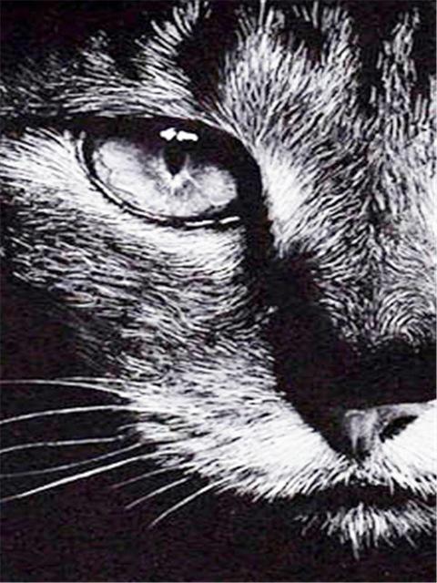 

5D Алмазная вышивка крестиком Волк Алмазная художественная картина черно-белая мозаика подарок ручной работы Full Square 20X30CM темно серый