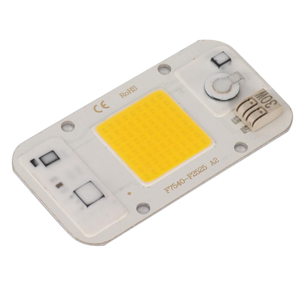 220V High Pressure Free Drive Light Source 30W LED Chip Integrated Lamp Bead for Plant Growth Light