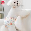 Teddy Bear Floral Pet Recovery Suit: Spring/Summer Anti-Lick & Anti-Harassment Safety Pants for Dogs & Cats