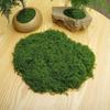 Bastelartikel Künstliche Moospflanzen Polyester Simulation Grünes Moos Moos Kunstdekoration Bonsai