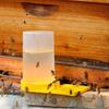Beekeeping Bee Feeder Honey Bee Drinking Water Feeding Watering Bees Tools Supplies Feeding Plastic Bee Drinker Tool
