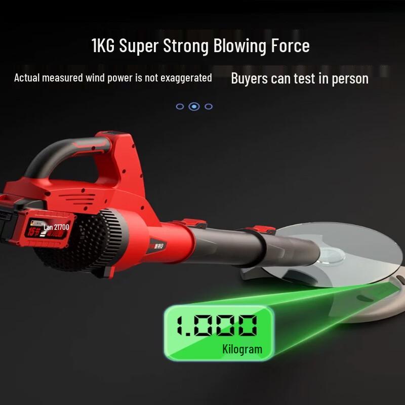 Powerful Cordless Blower CN Plug (adapter Included)