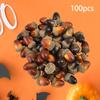 100x Artificial Acorns Simulation Fruit Props with Acorn Cap Realistic Nut Ornament Fake for Home Wedding Seasonal