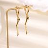 Fashion Exquisite Diamond-set Ear Buckle Earrings Women's Temperament Versatile Snake Earrings New