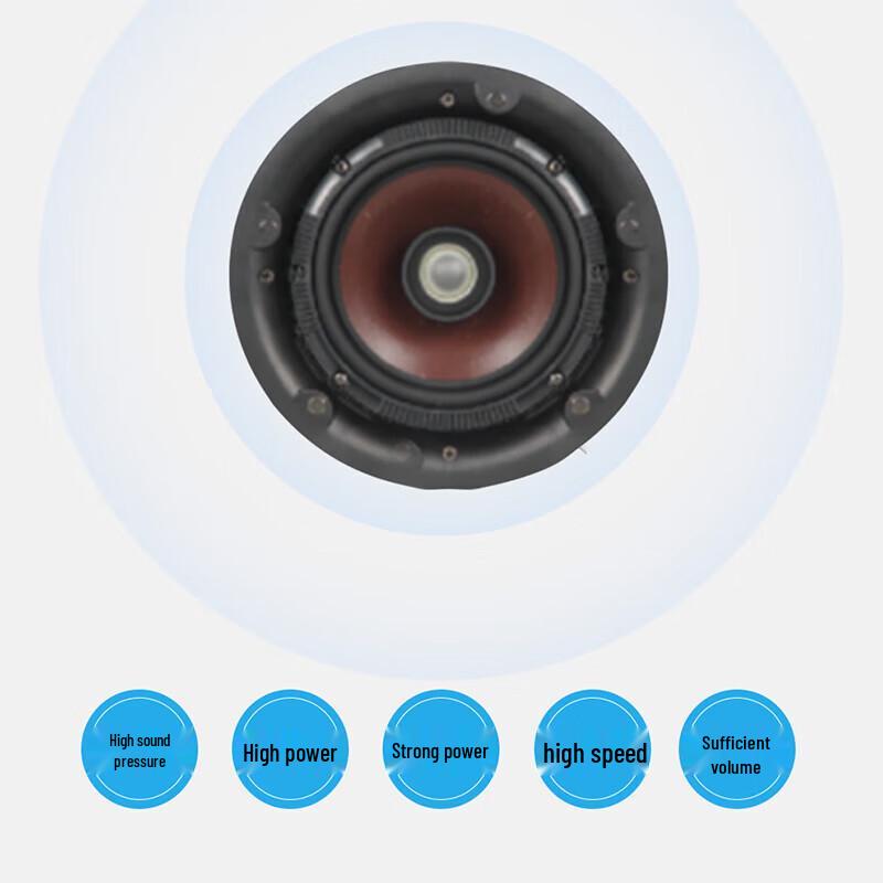 Runpu RP-XDY02 6-inch Coaxial Ceiling Speaker (CN version)