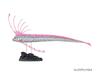Calorata 3D Fish Figures Species Includes Realistic Toy Birthday Gift Sanitation Law Realistic Figure Box Gift Deep-Sea (7 / Instructions)