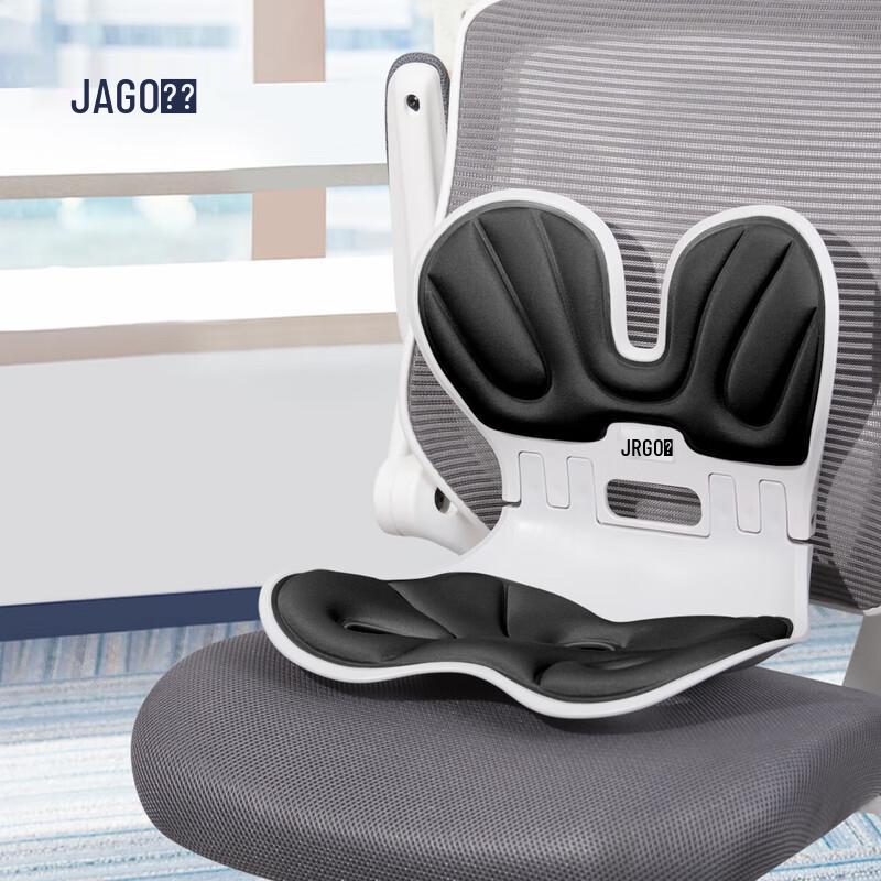Ergonomic Lumbar Support and Seat Cushion
