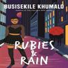 Rubies and Rain by Busisekile Khumalo Paperback Book 9780795711053