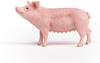 Schleich Świat Farmy Świnia 13933