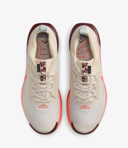 Nike Pegasus Trail 5 GORE-TEX Running Shoes Men's FQ0908-104