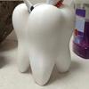 Toothbrush Holder, Tooth Shape, Pencil Cup, Cute Succulent Flowerpot, Stationery Container, Desk Ornament