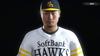 Pro Baseball Spirits 2019 early purchase DLC distribution for early access to overseas transfer players Original PC smartphone wallpaper distribution