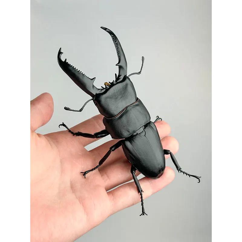 Genuine Gacha Scale Model Simulation Insect Model Collection Piece of A Giant Flat-bottomed Beetle Insect Model