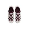 Nike Tech Hera Platinum Tint Burgundy Crush Men Sneakers Red Summit-White Black FJ9532-600
