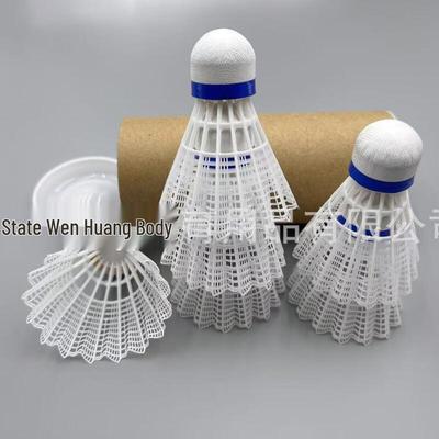 Xulin Training Badminton Shuttlecocks (10-Pack)