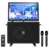 Portable KTV Bluetooth Speaker System with Display (CN Version)
