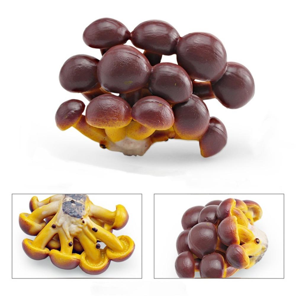 Vegetable Model Fungus Figurines Landscape Miniatures Artificial Simulation Mushroom Plant Teaching Fungus Model